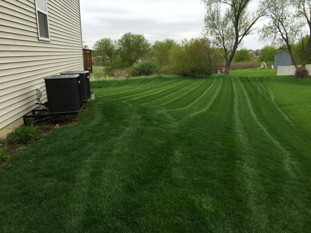 Perfect ballpark-quality striped lawn surrounding residential property