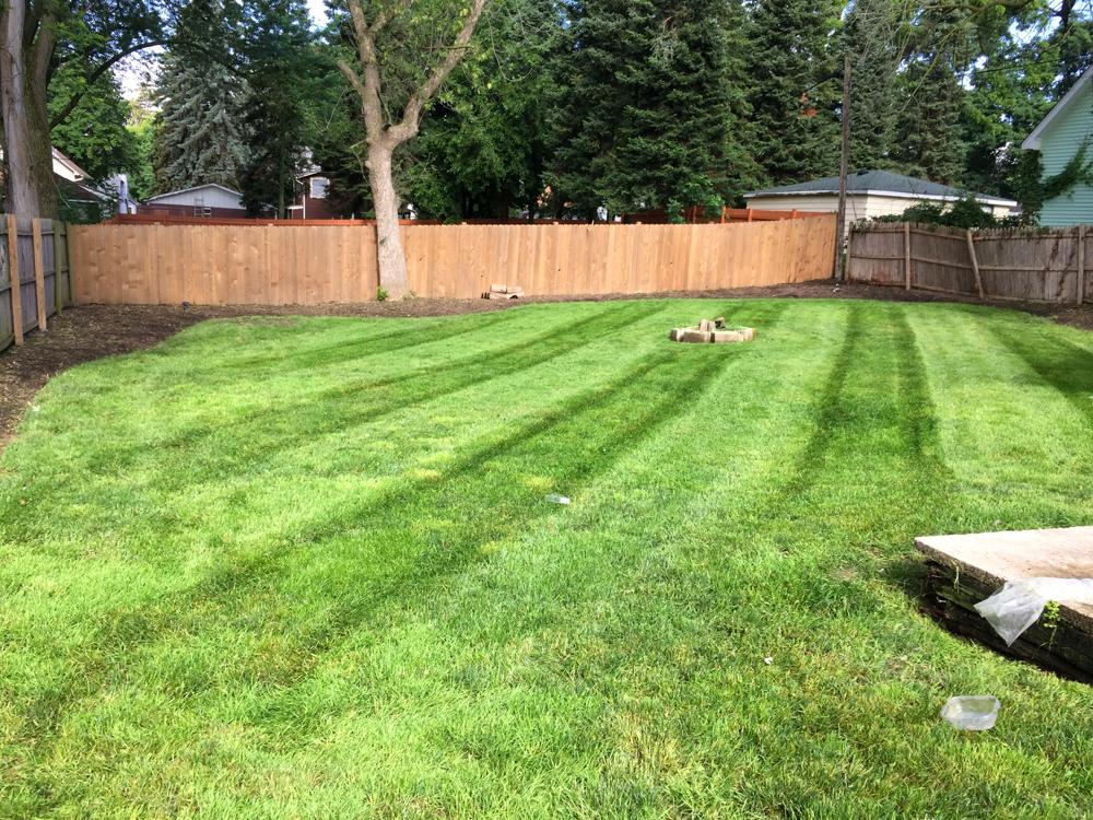 Striped backyard lawn framing mature landscaping beds