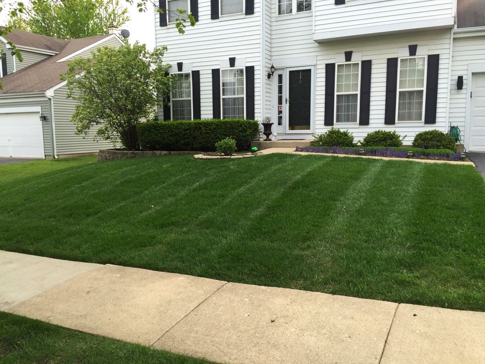 Rich black premium mulch bed with custom curved concrete stone borders