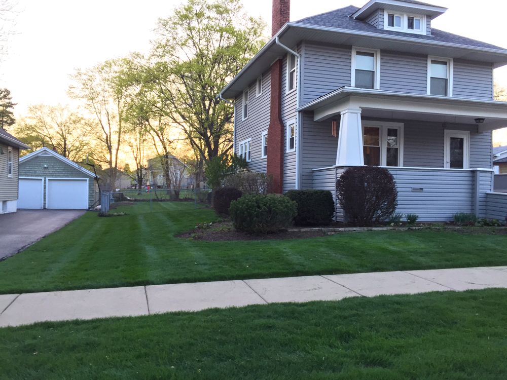 Fresh green sod installation next to a newly paved stone walkway