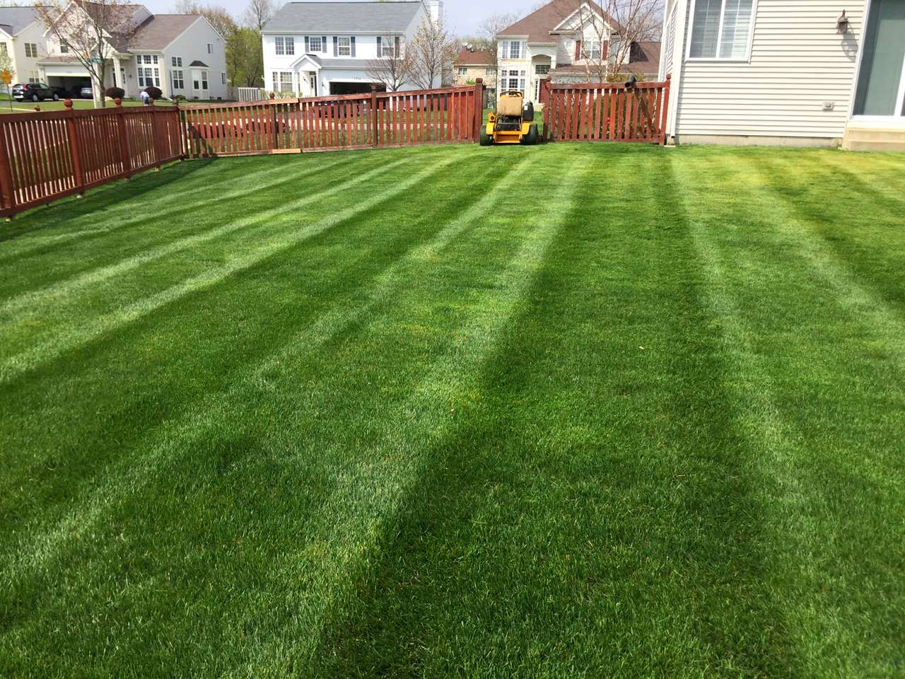 Residential front yard featuring perfectly manicured dark and light green mowing stripes