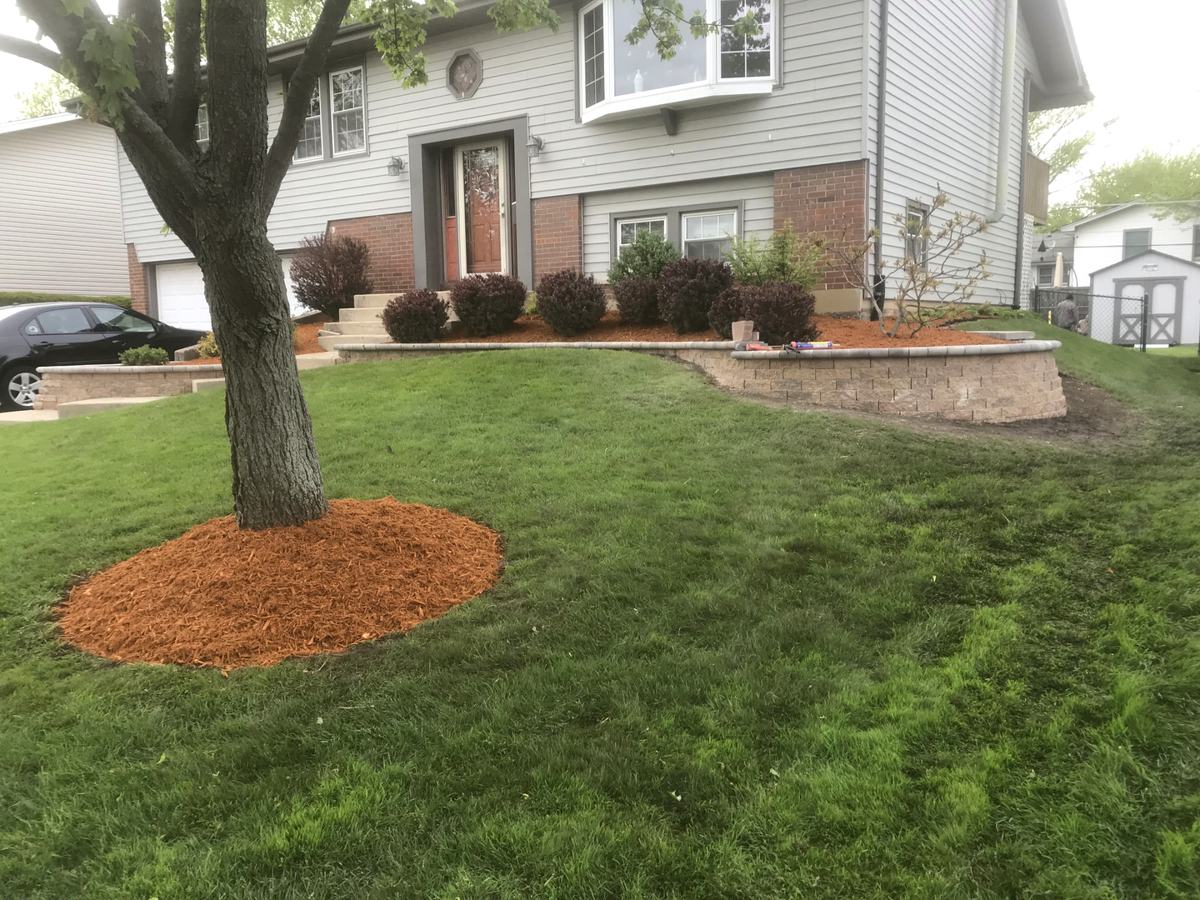 Beautiful residential lawn with perfect professional stripe patterns