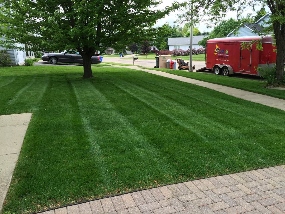 Fresh dark brown premium mulch surrounding garden trees and shrub beds